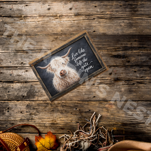 White Highland Cow – “Live Like Someone Left the Gate Open”