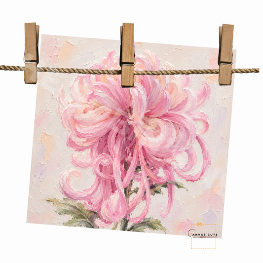 Pink Spider Mum Canvas Cut | Textured Floral Fine Art Print