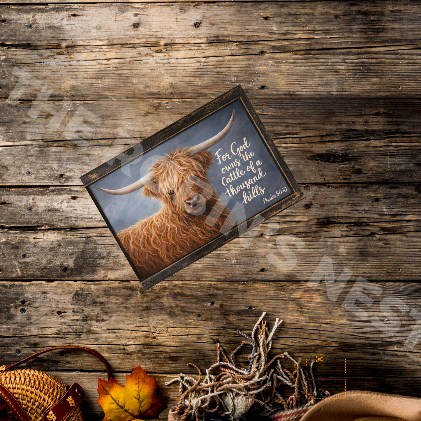 Highland Cow – “For God Owns the Cattle…”