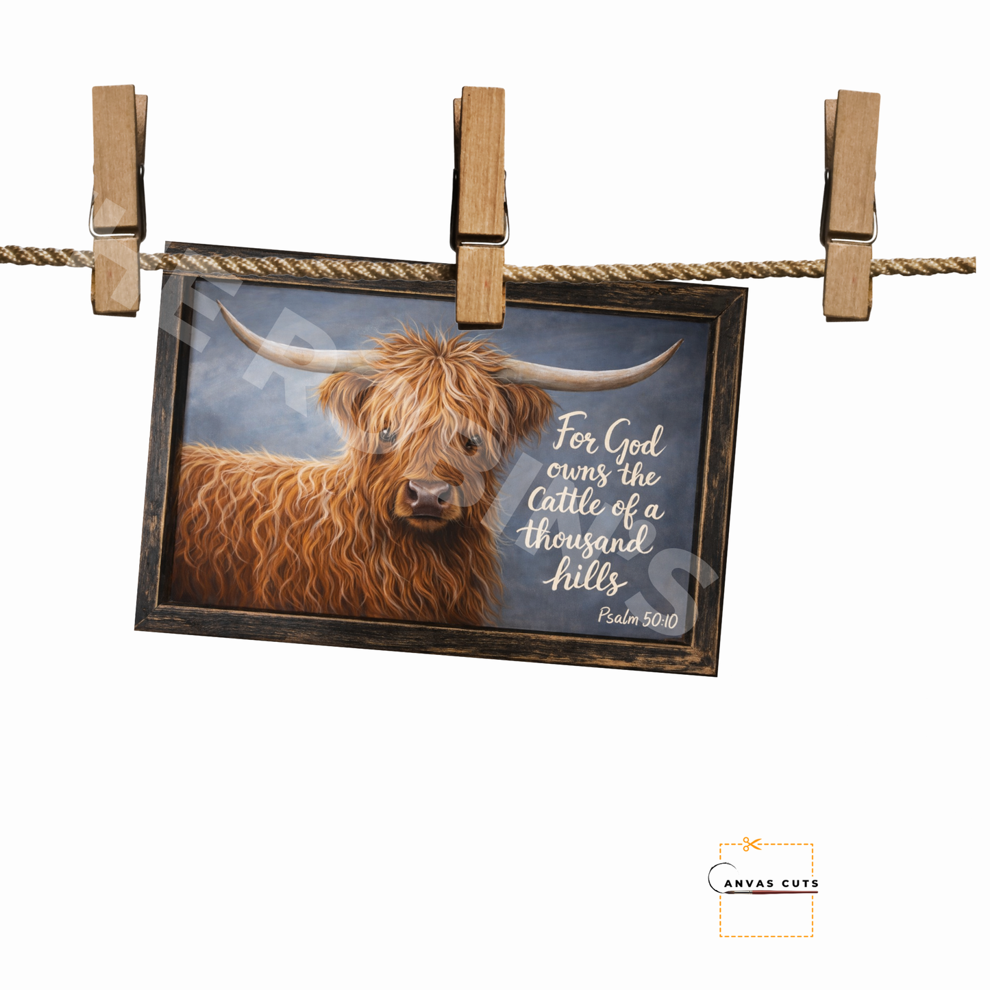 Highland Cow – “For God Owns the Cattle…”