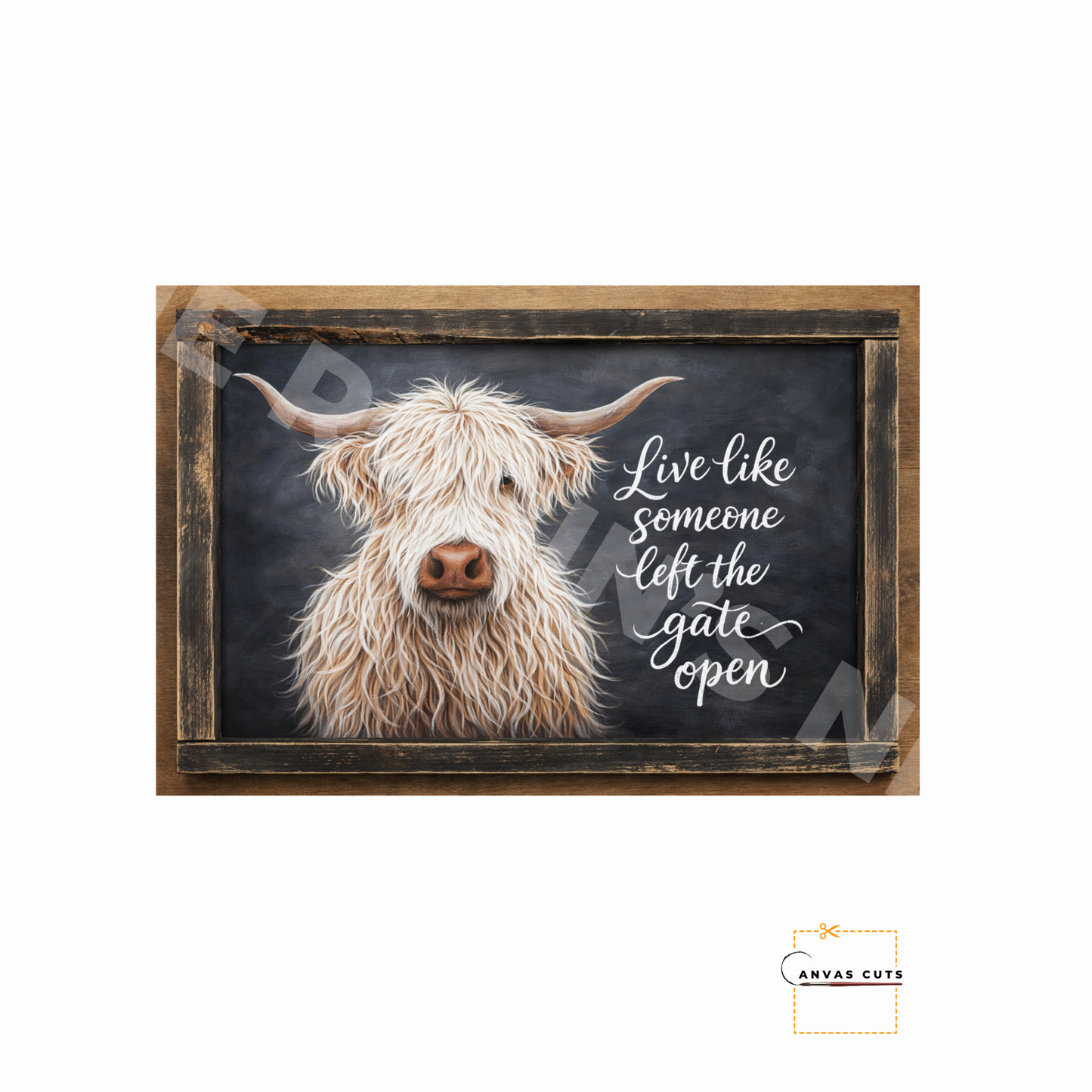 White Highland Cow – “Live Like Someone Left the Gate Open”
