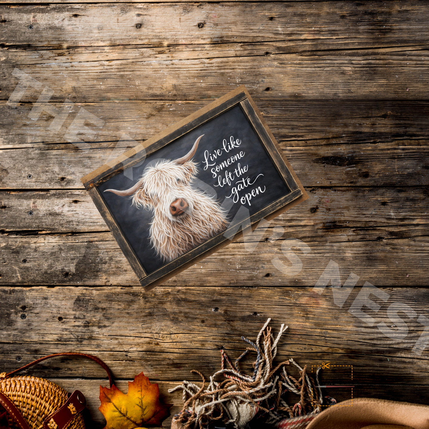 White Highland Cow – “Live Like Someone Left the Gate Open”