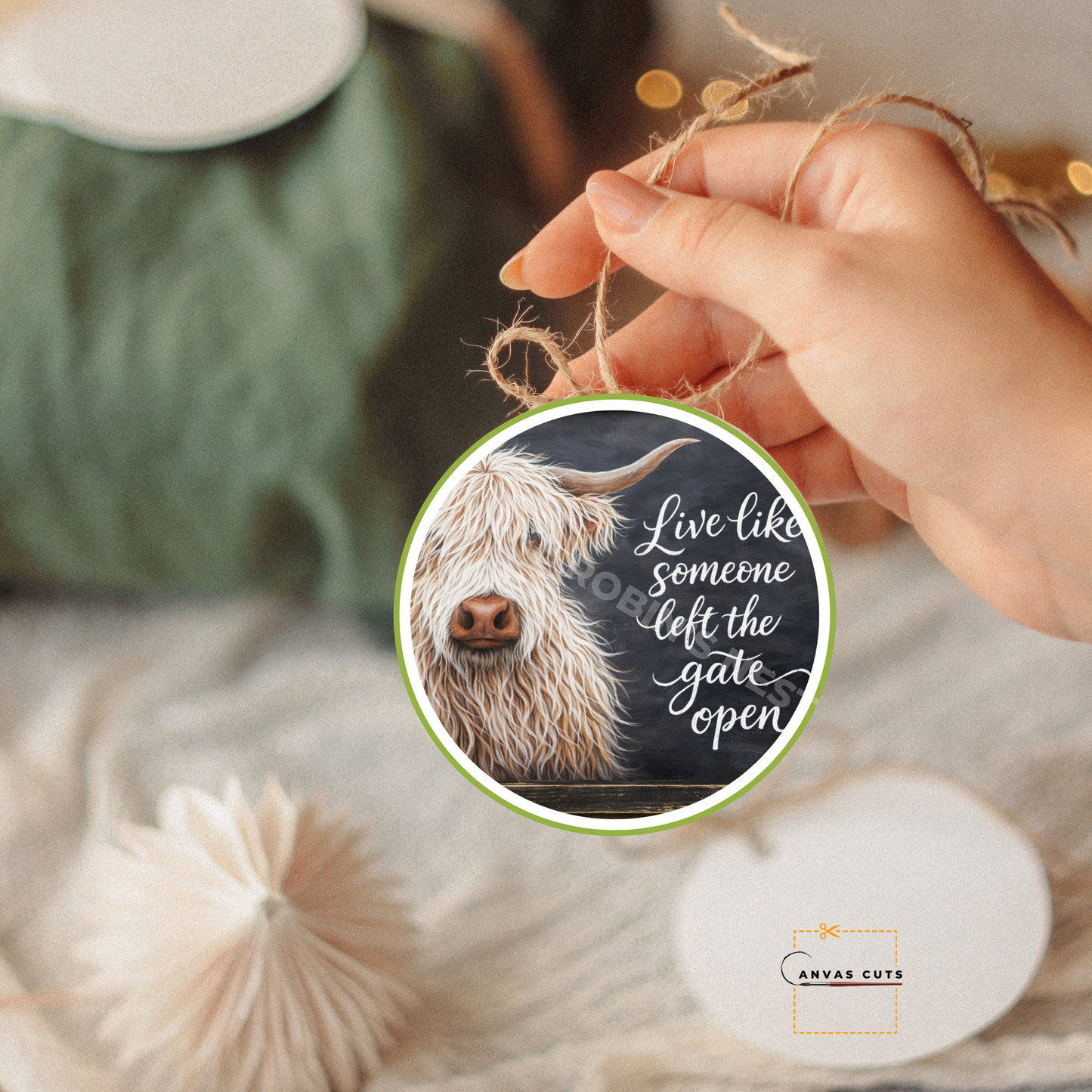 White Highland Cow – “Live Like Someone Left the Gate Open”