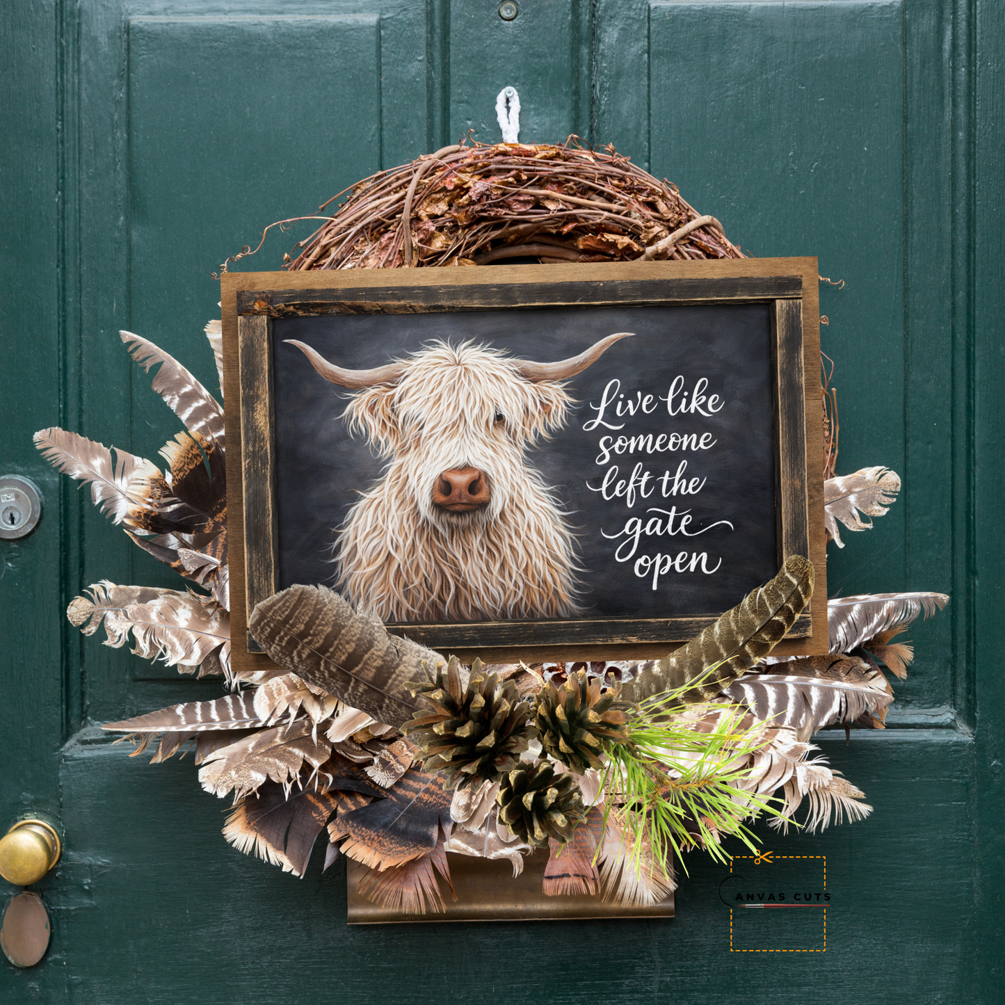 White Highland Cow – “Live Like Someone Left the Gate Open”