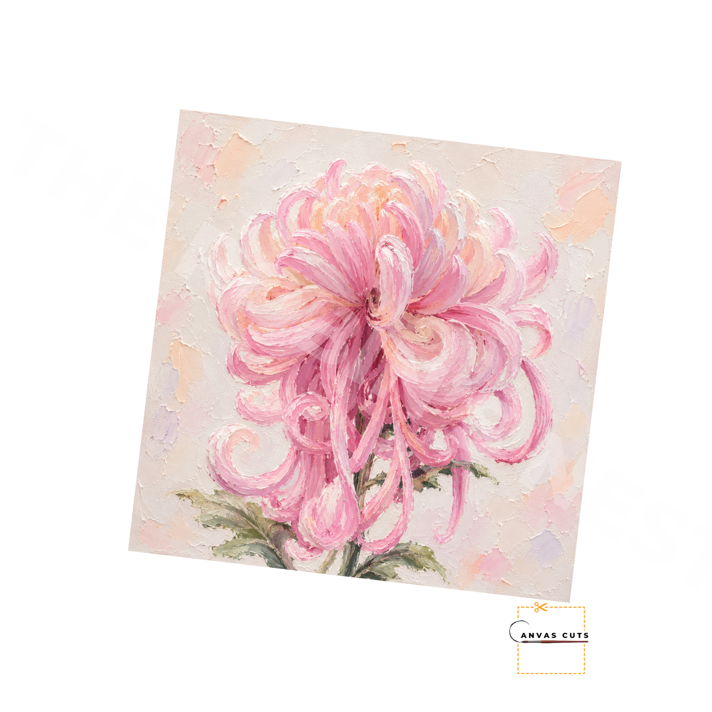 Pink Spider Mum Canvas Cut | Textured Floral Fine Art Print