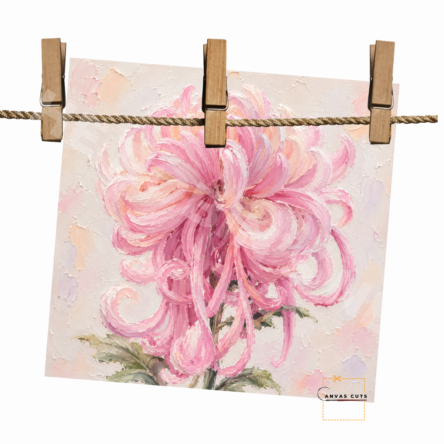 Pink Spider Mum Canvas Cut | Textured Floral Fine Art Print